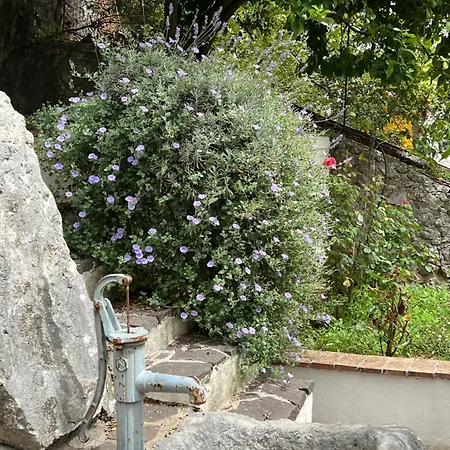 Maggio Cassino