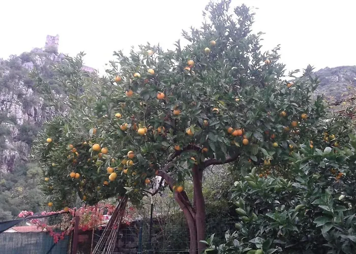 度假居 Maggio 卡西诺